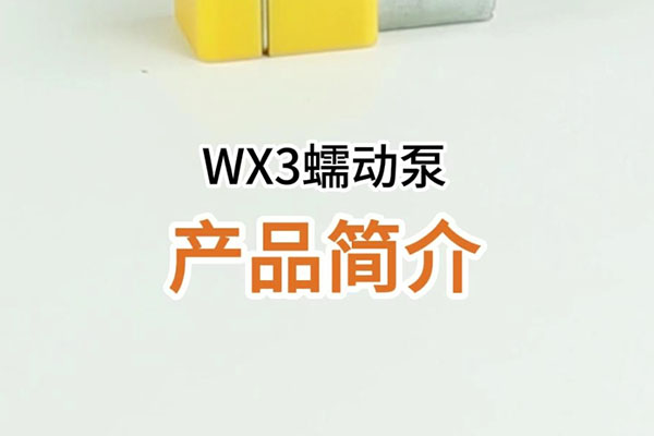 WX3蠕動泵產品簡介