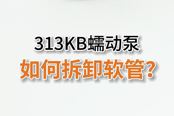 313KB蠕動泵如何拆卸泵管